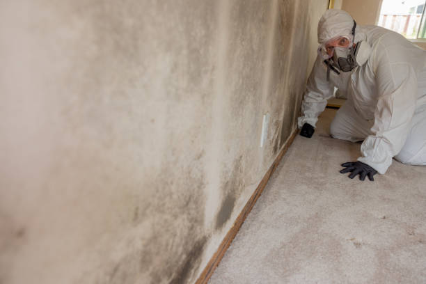 Best Dehumidification Services  in Marion, IL